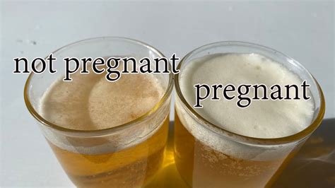 bleach pregnancy test
